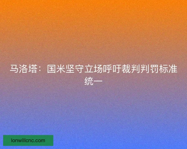 马洛塔：国米坚守立场呼吁裁判判罚标准统一